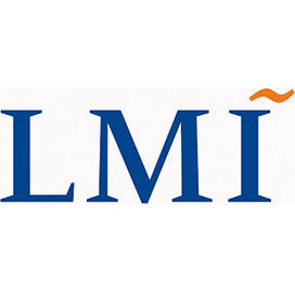 LMI Promotes Digital Services, Analytics Executives